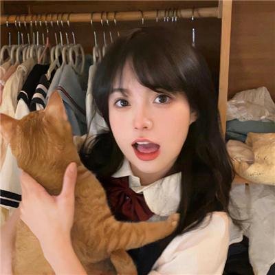 群岛